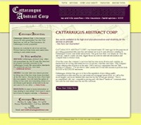 Cattaraugus Abstract Corp